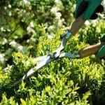 Testimonial. Home Services. San Jose, CA.